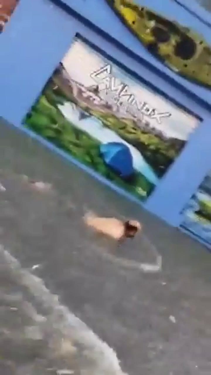 Snaptwitter 1pwscz3b3oriybev.mp4