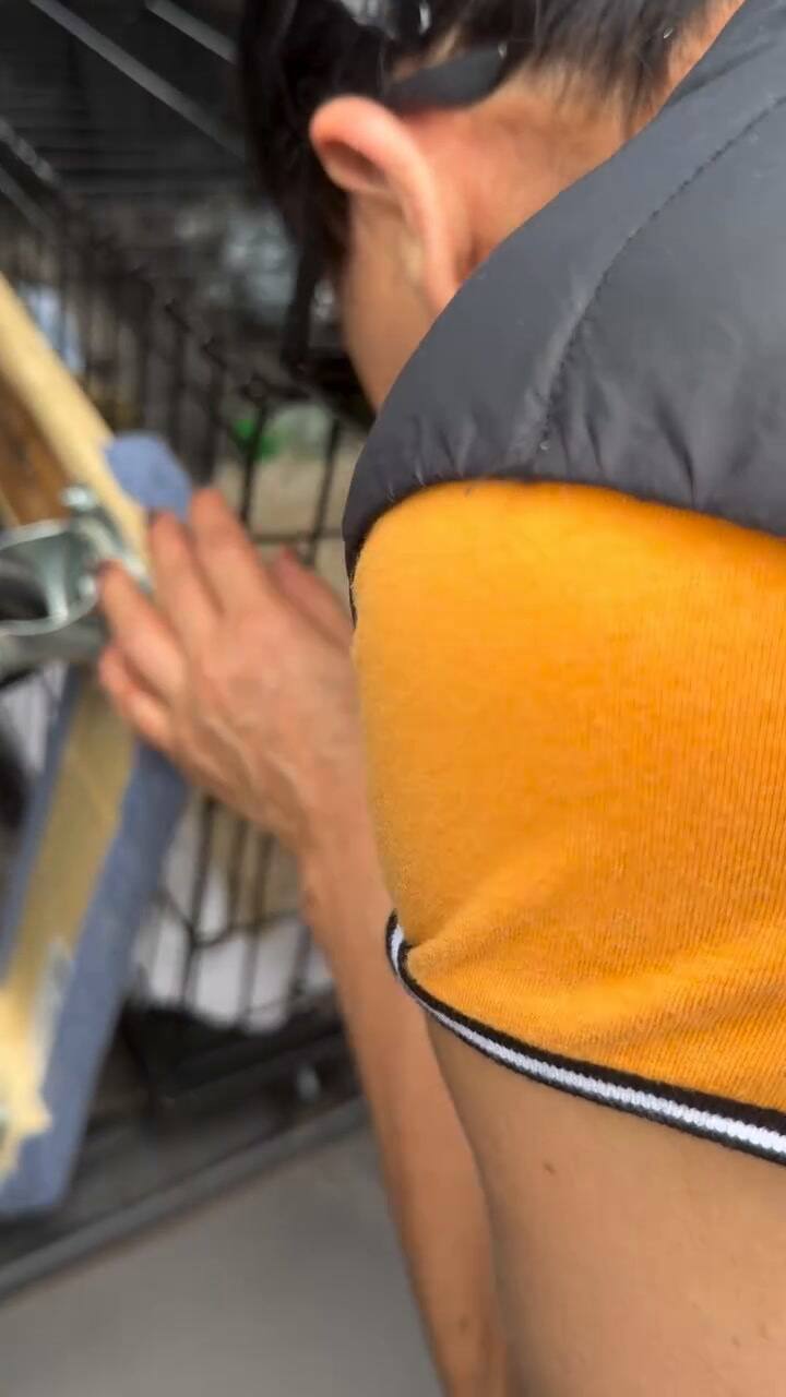 Así llegaron los perros a la veterinaria