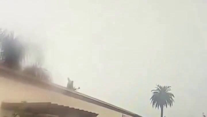 Video: un avión militar se estrelló en la bahía de San Diego durante un ejercicio de entrenamiento