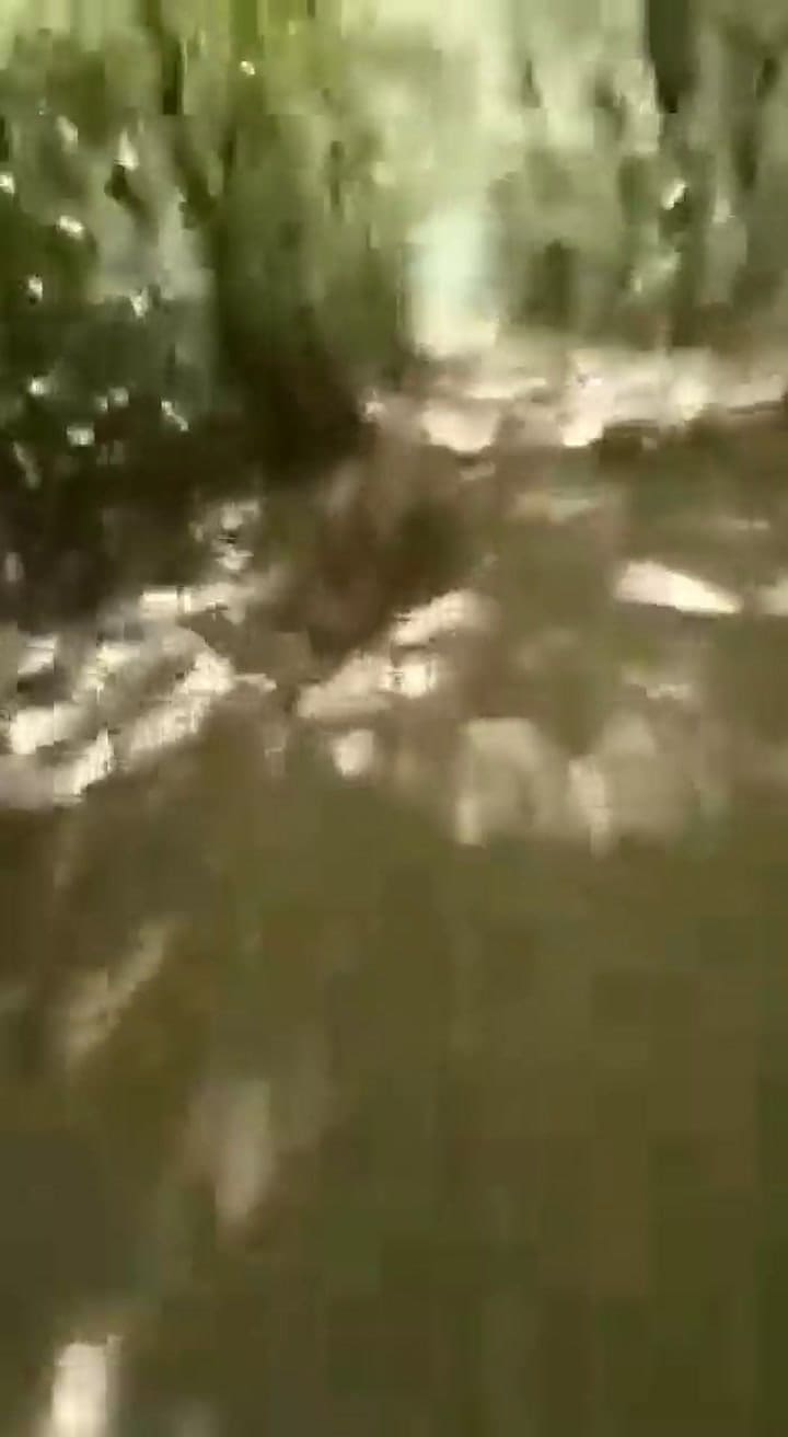 Una ciclista grabó el momento en el que le dispararon para robarle la bicicleta