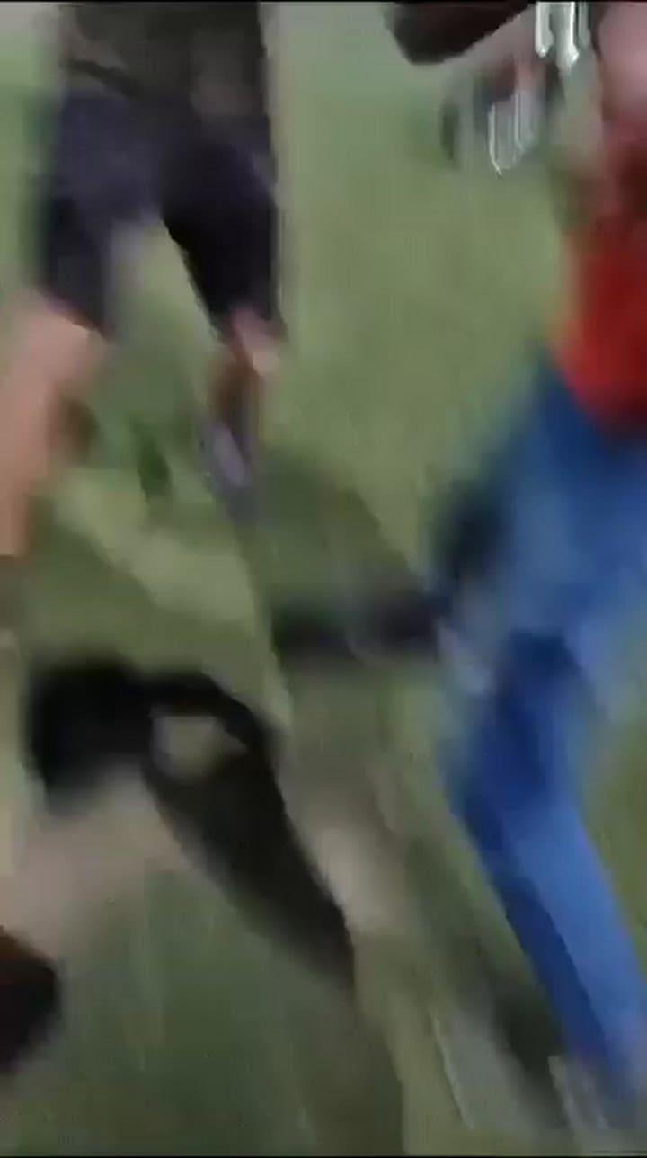 Pelea Bragado
