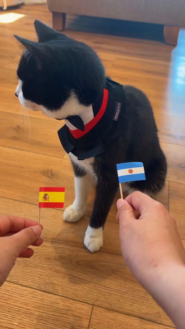 La predicción para la final del Mundial 2026 de Argentina vs España
