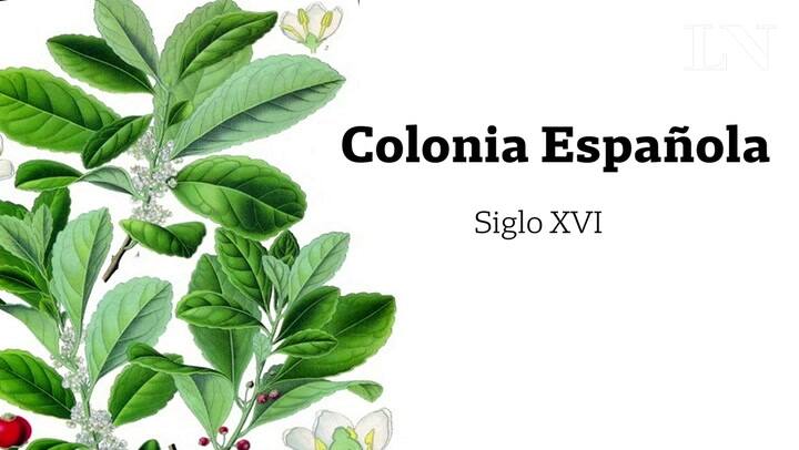 Colonia