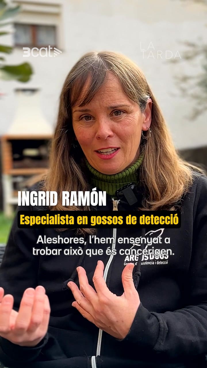 La historia de Blat, el perro que detecta el cancer con el olfato