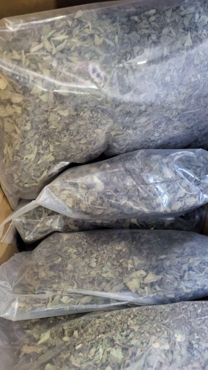 La CBP incautó khat africano con destino a California