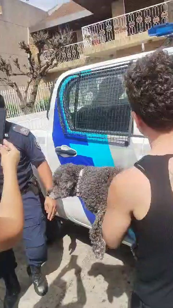 Detención Villa Bosch