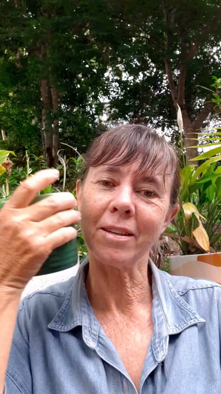 El último mensaje de Jo Nemeth, antes de desaparecer de internet