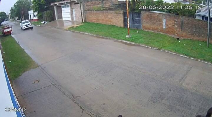 Un policía atropelló a un perro