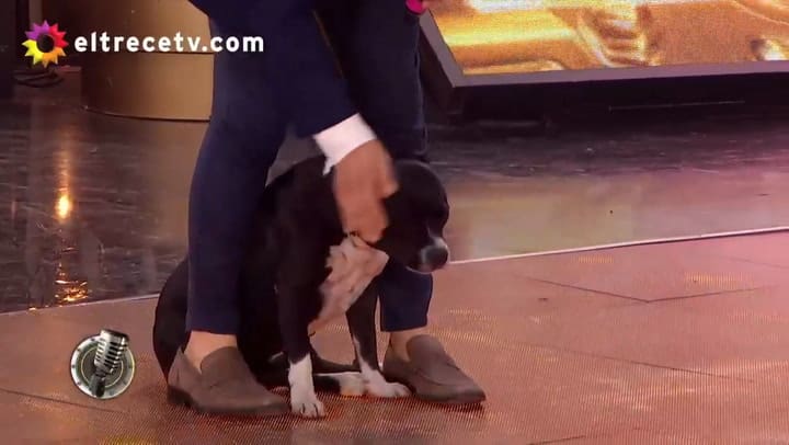 Cantando 2020. Cachete contó quién es la cómplice que evalúa a sus citas - Fuente: eltrece