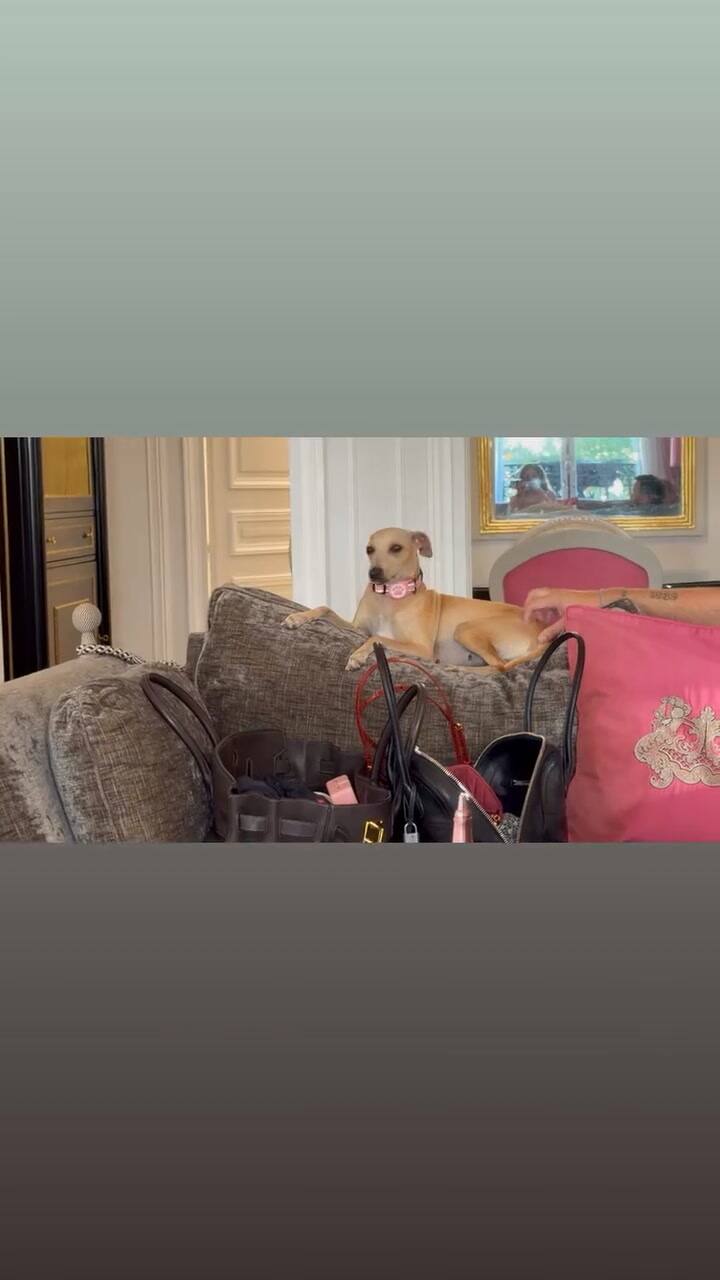 Tini Stoessel disfrutó de París con su perrita Fifi