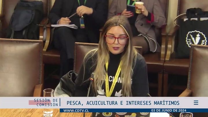 En medio del debate por la Ley de Pesca en Chile, una proteccionista defendió la vida de los peces con curiosos argumentos