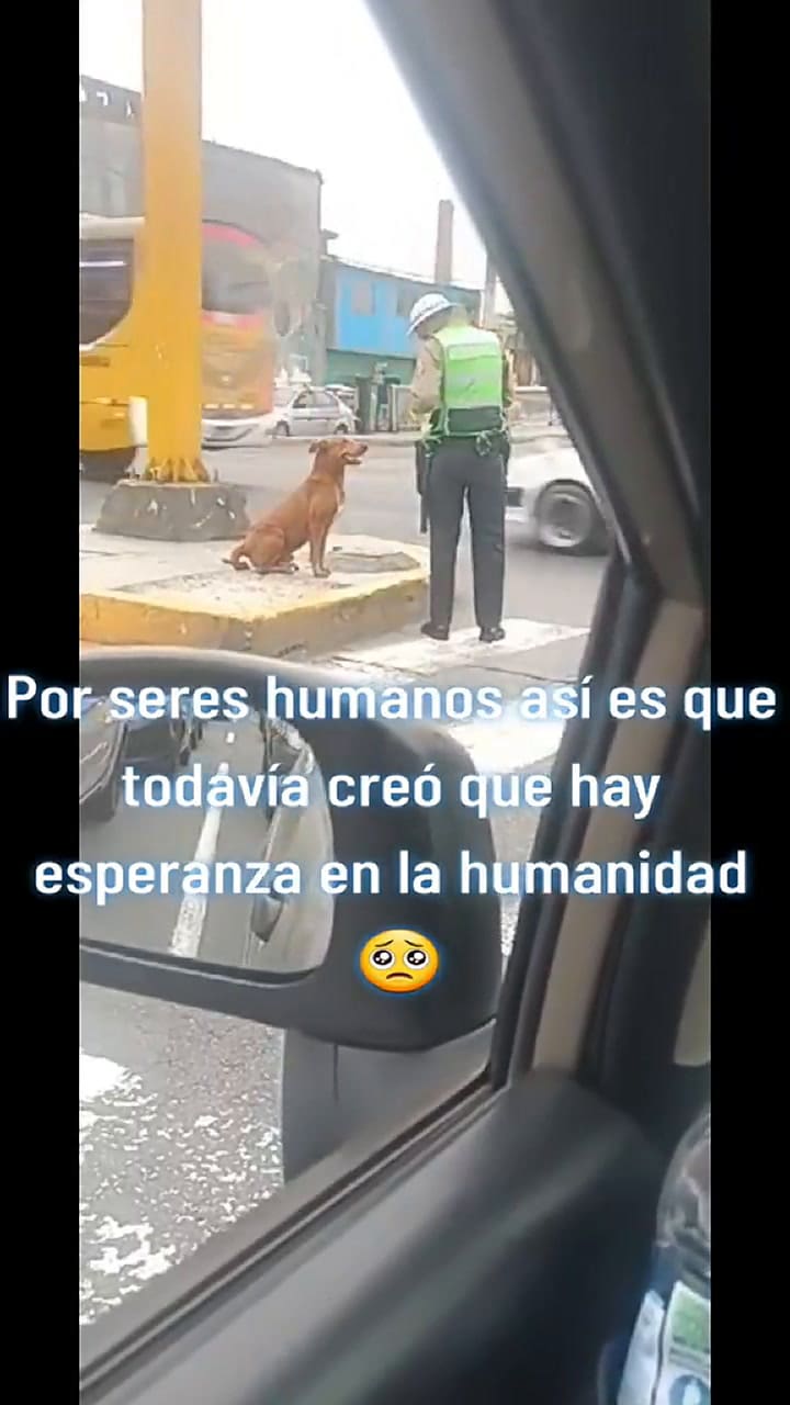 El gesto del policía que se volvió viral