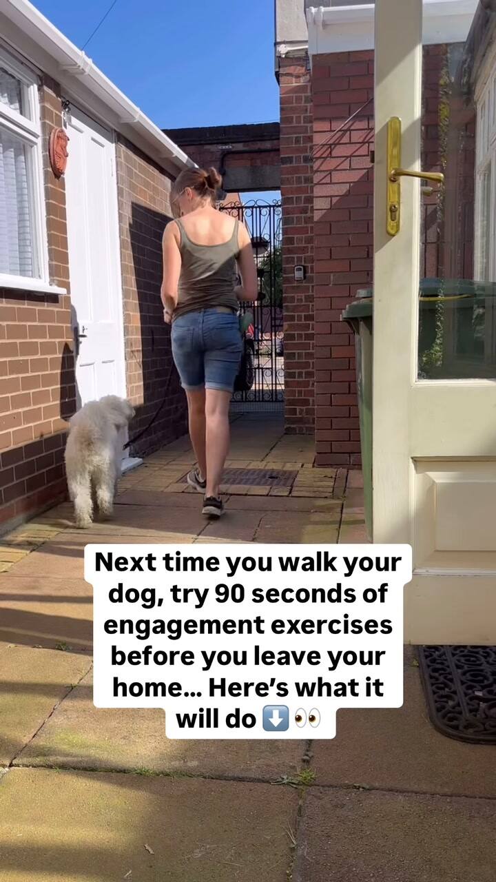 El truco de tres minutos que promete paseos más tranquilos con tu perro