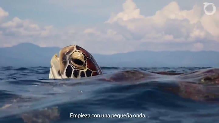 La contaminación y la pesca irresponsable ponen en jaque a los océanos