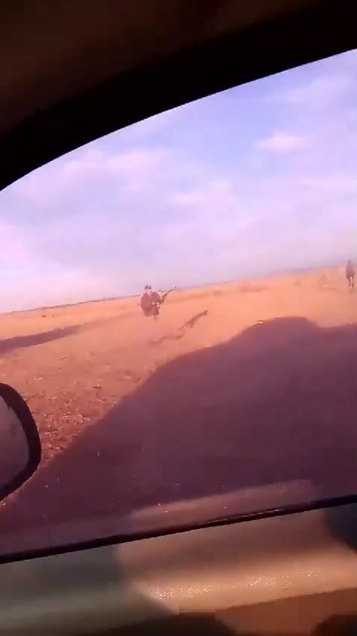 Video Campo