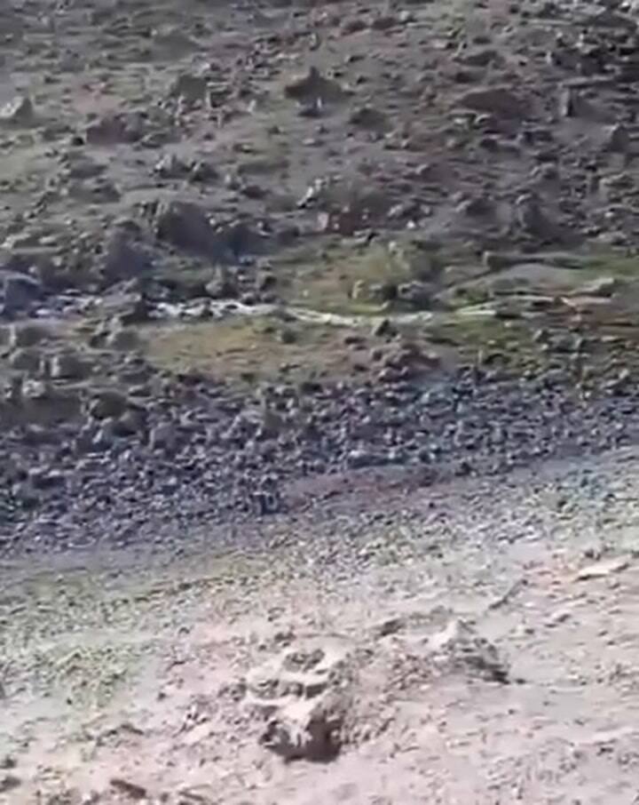 Whatsapp Video 2024-12-04 At 02.32.33 (Online-video-cutter.com) (1)