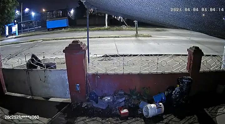 Desesperada, se cubría de delincuentes que la golpeaban para robarle en Moreno