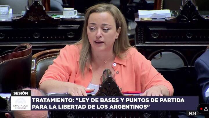 Cecilia Moreau denuncia la presencia de Leonardo Sosa en Diputados, mientras se debate la Ley Ómnibus.