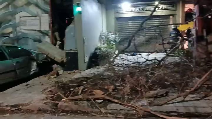 Flores: un camión chocó, derribó un árbol y quedó incrustado en la entrada de un edificio