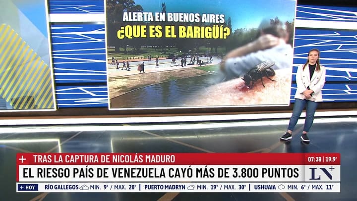 ¿Que es el barigui?