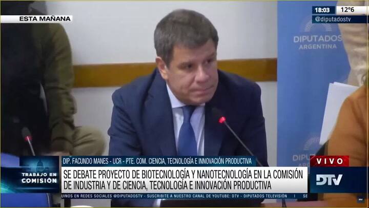 Diputados