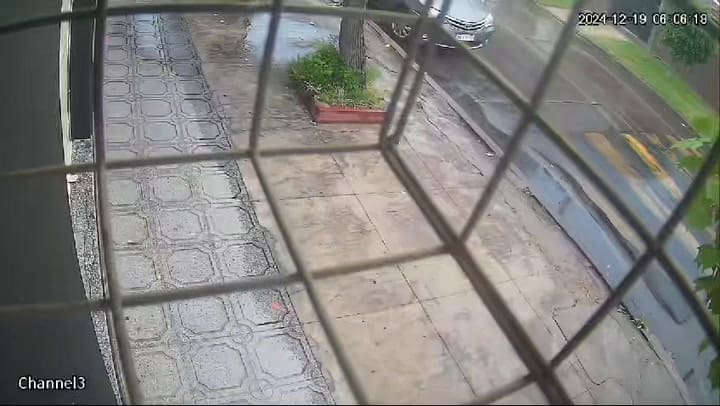 Continúa El Robo A Camiones Con Medias Reses