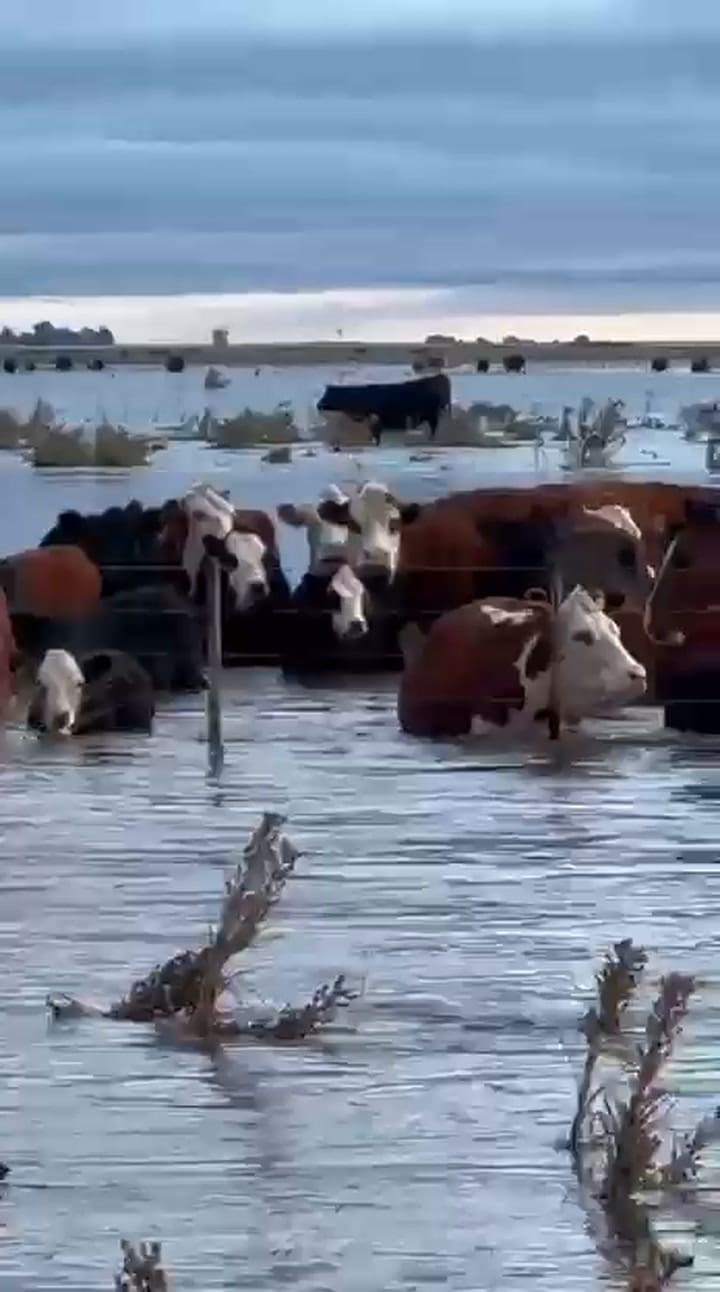Inundaciones en los partidos de Olavarria