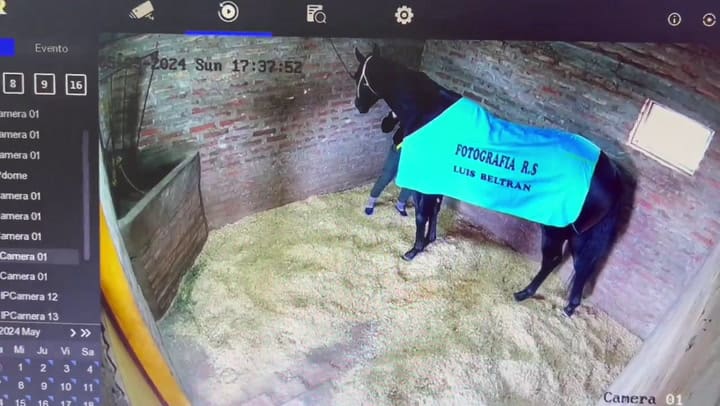 Caballo1