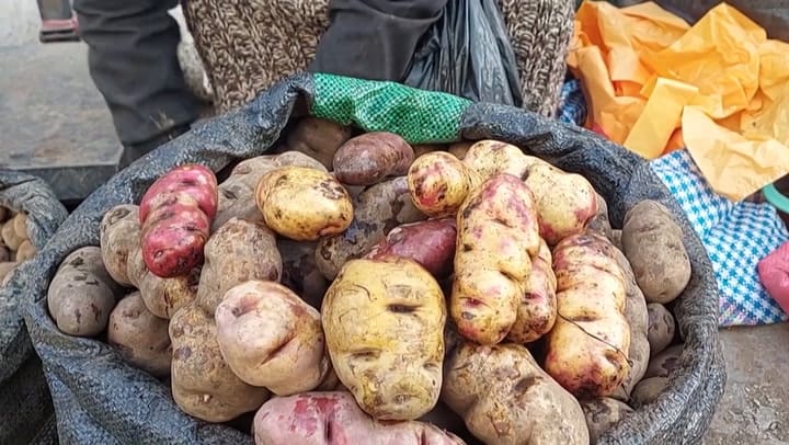 Un estudio reveló que la papa desciende del tomate