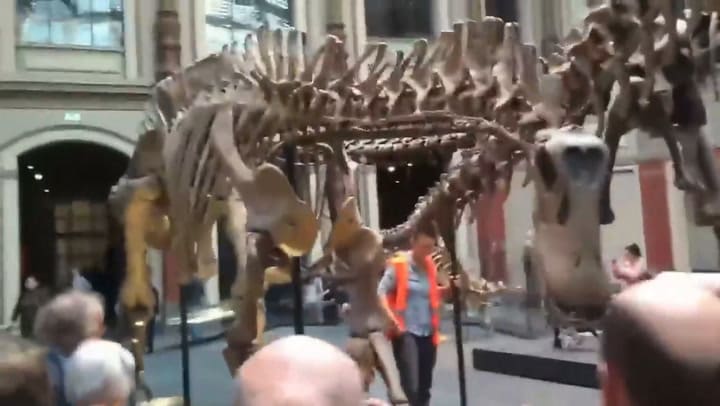 Dos activistas se pegaron al esqueleto de un dinosaurio en un museo de Berlín