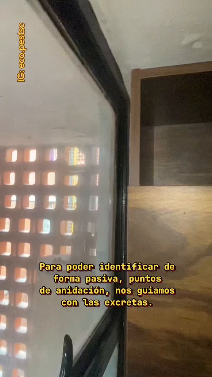 Fumigacion De Cucarachas De Cocina