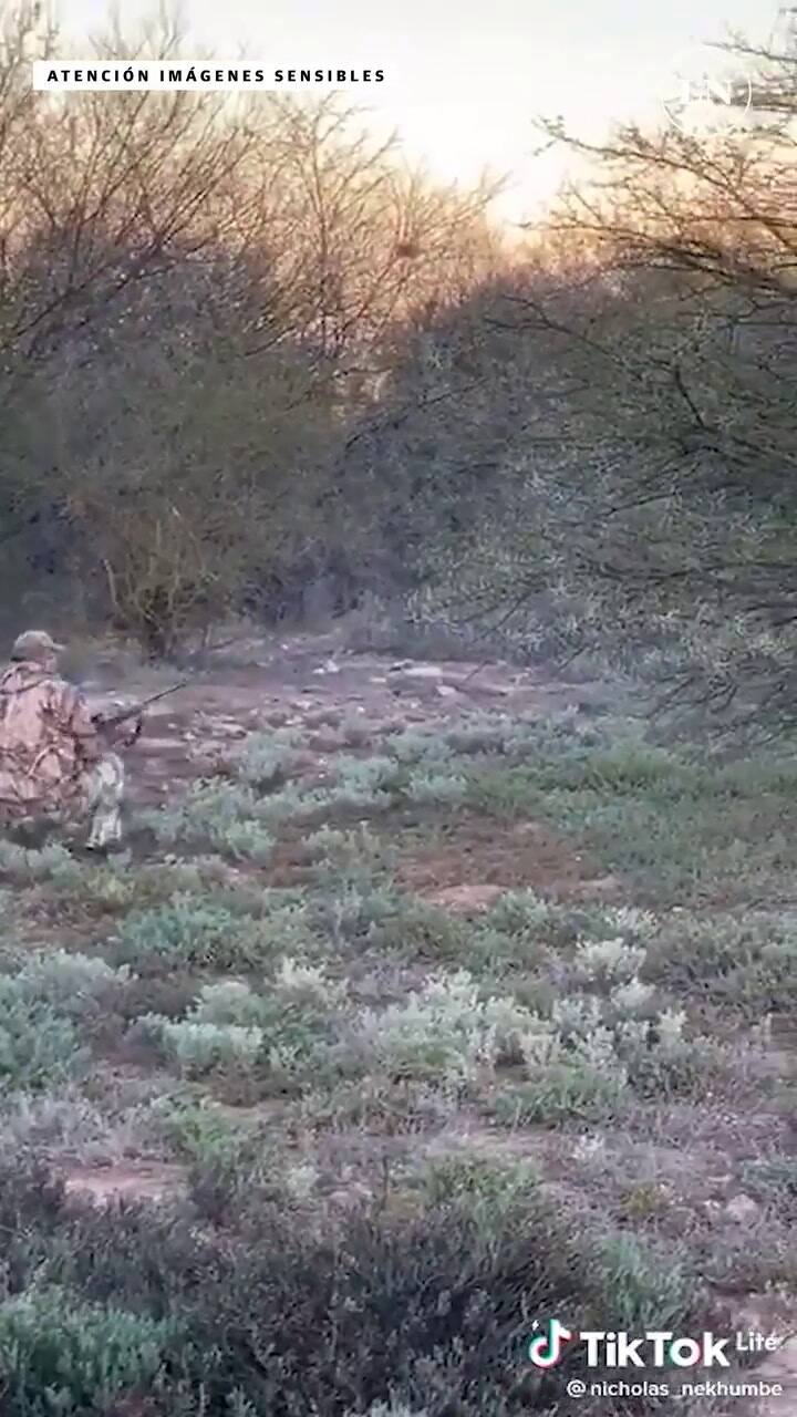 Así se defendió el búfalo