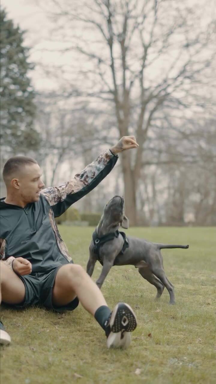 Liam Payne y su perro Stanley