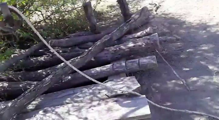 El estado en el que se encuentra el ganado de su finca