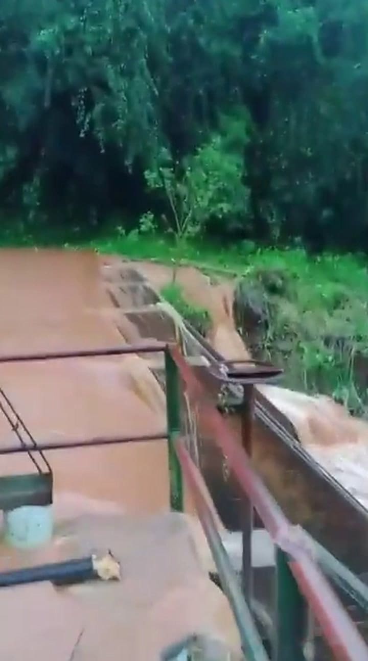 Se registraron más de 200 mm en Colonia Aurora, Misiones. Crédito: CRA