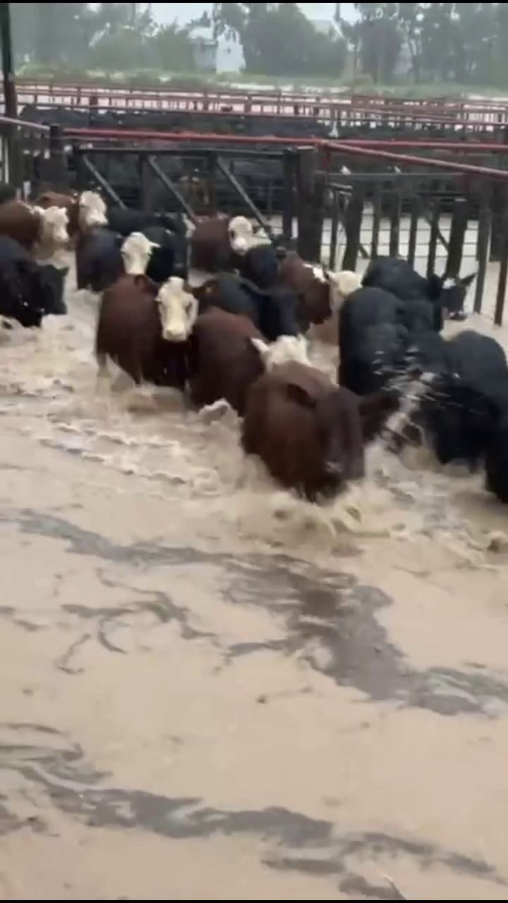 Las inundaciones en Bahía Blanca