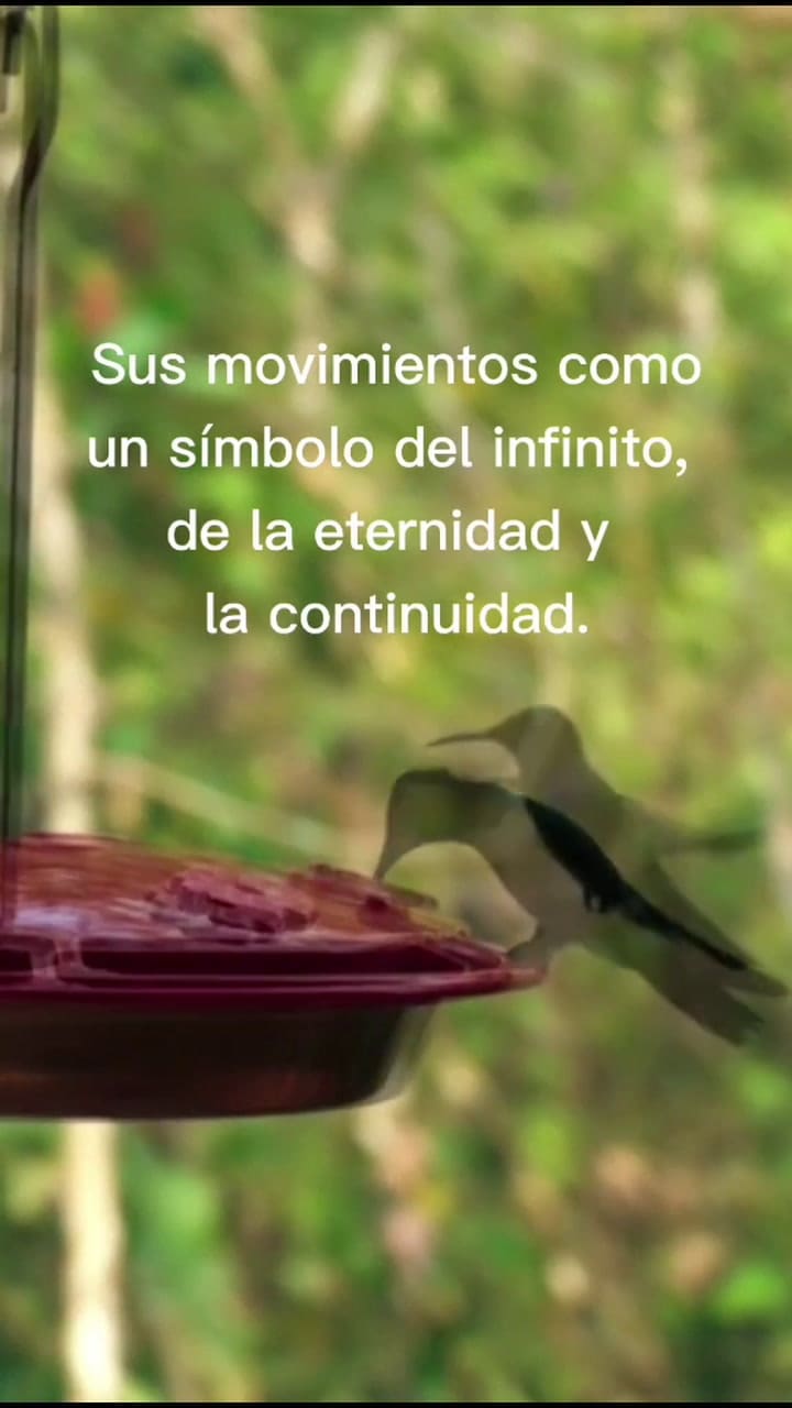 Las Señales De Un Colibrí #Magia #Hada