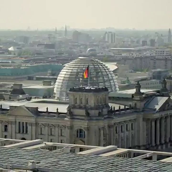 Video del acuario