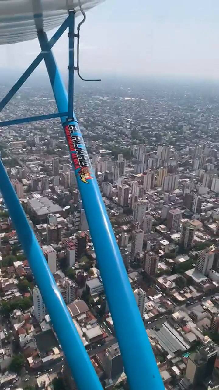 Pájaro 3