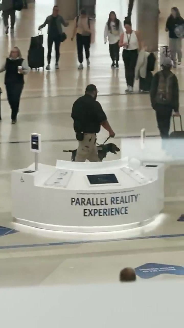 Un viajero grabó a un agente de la TSA que maltrataba a un perro detector de explosivos