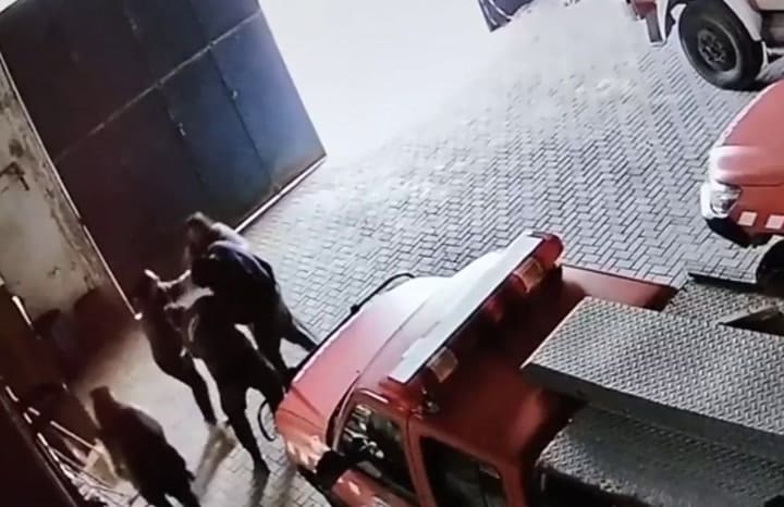 Así salvaban a una bebé que se ahogaba los bomberos cordobeses