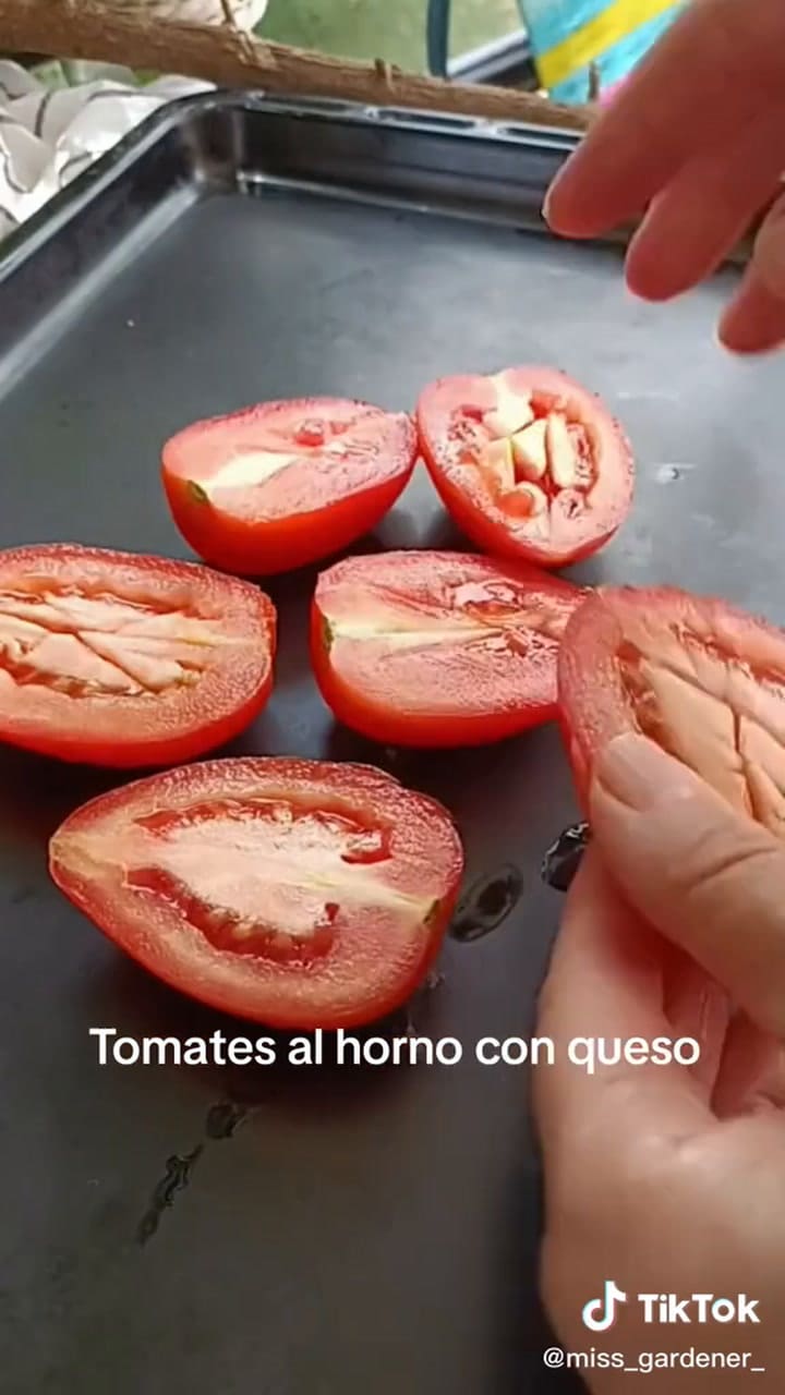 Receta de tomates con queso