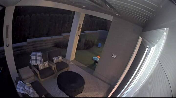 El dramático video en el que una mujer salva a su hija de cruzarse con un oso