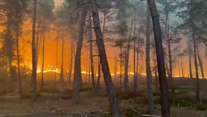 Imágenes del fuego en Fontainebleau