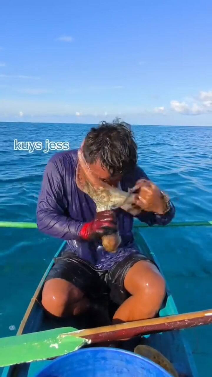 El impactante video de un pescador atacado por un pulpo