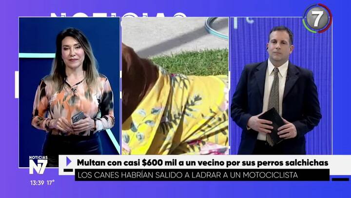 El dueño de los perros salchichas contó la versión de los hechos en televisión