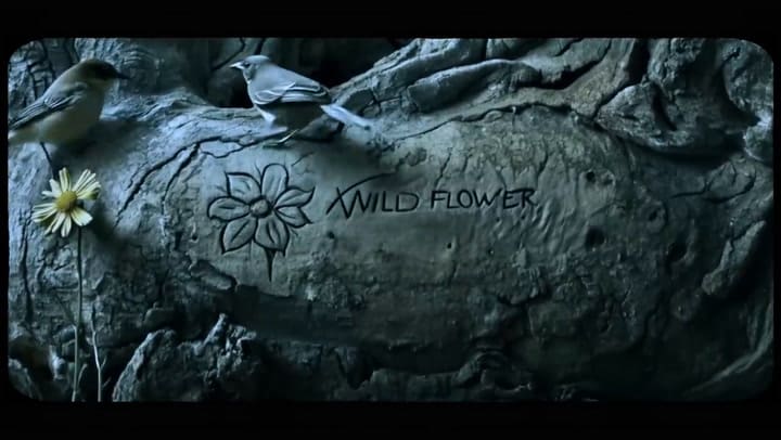 Billie Eilish - WILDFLOWER