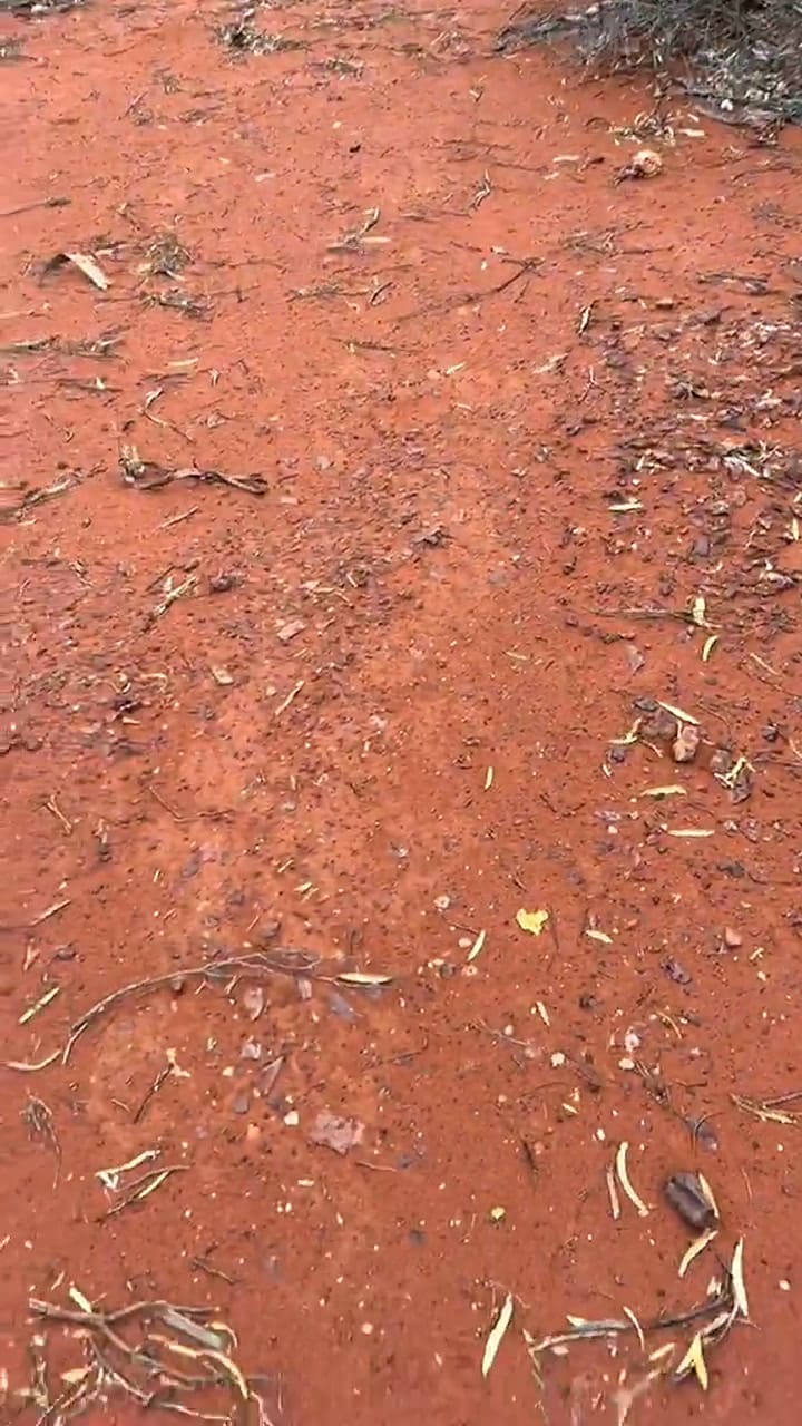 Una tiktoker mostró el enorme pedazo de oro que encontró en la tierra