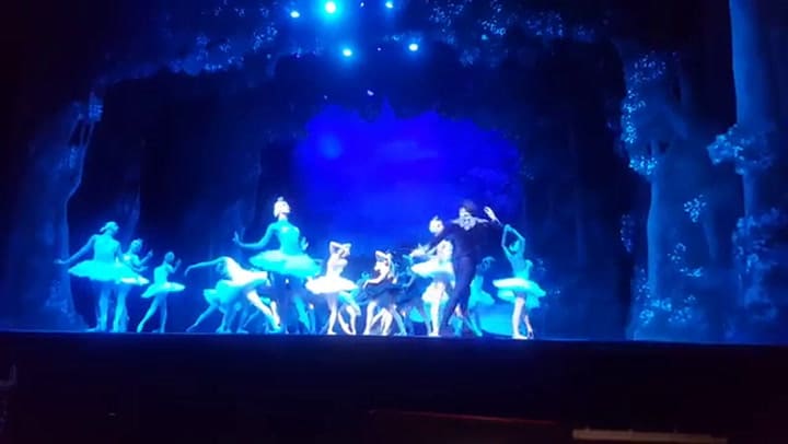 El final del lago de los cisnes, por el ballet nacional Danza