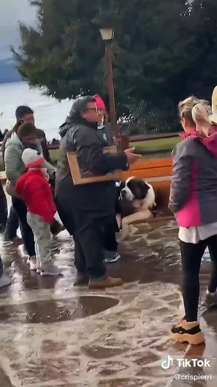 Un joven denunció la tradicional foto con el perro de Bariloche y su video se viralizó